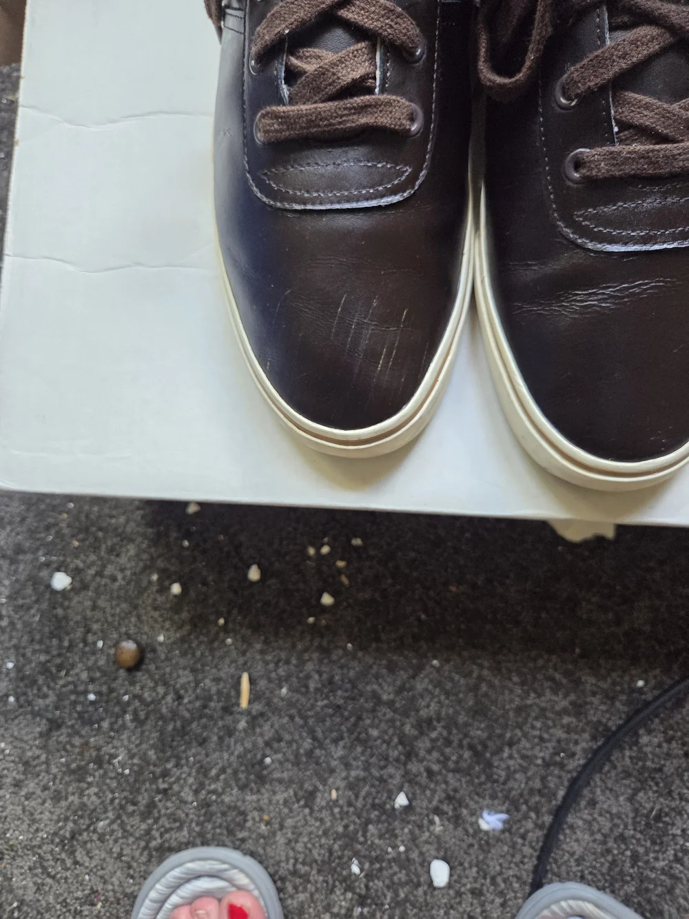 Polo by Ralph Lauren Brown Leather Sneakers with White Soles